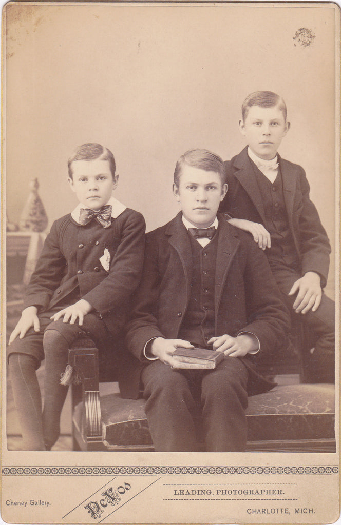 Victorian Brothers- 1800s Antique Photograph- July 1886- Boys Portrait- Charlotte, Michigan- Cabinet Photo- Reading Book