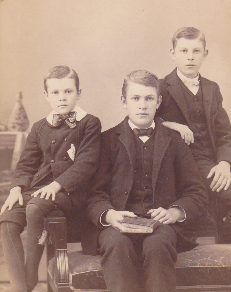 Victorian Brothers- 1800s Antique Photograph- July 1886- Boys Portrait- Charlotte, Michigan- Cabinet Photo- Reading Book