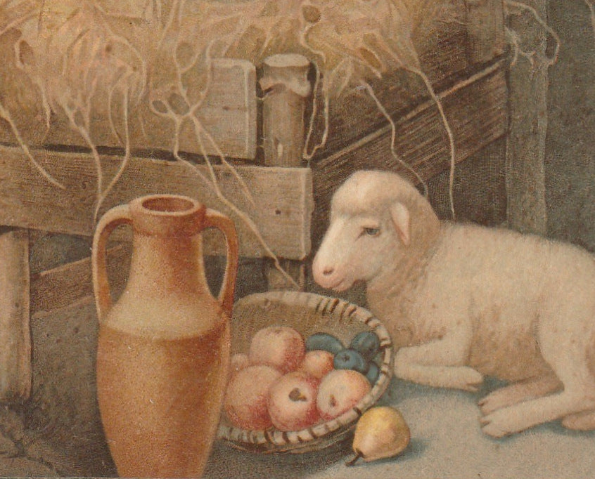Infant Jesus in Manger Antique Postcard Close Up 4