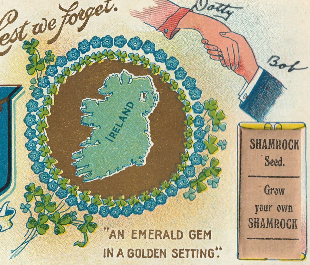 Ireland an Emerald Gem Vintage Postcard Shamrock Seeds Close Up