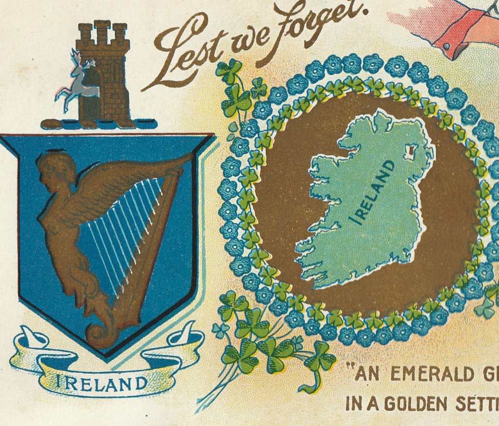Ireland an Emerald Gem Vintage Postcard Shamrock Seeds Close Up 2