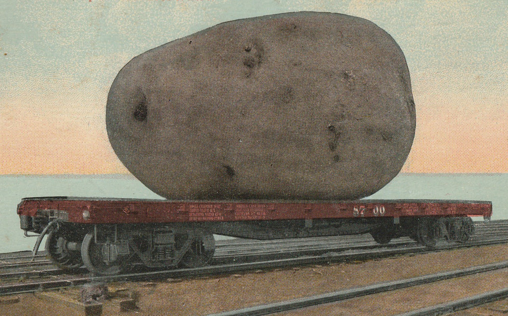 It's The Atmosphere That Does It Giant Potato Postcard Close Up