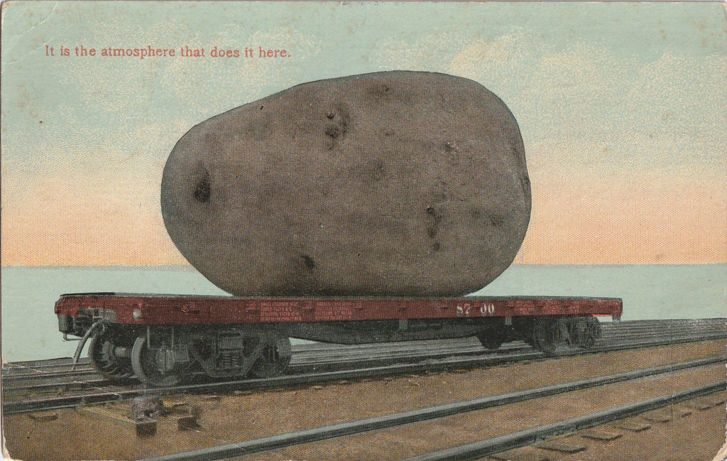 It's The Atmosphere That Does It Giant Potato Postcard