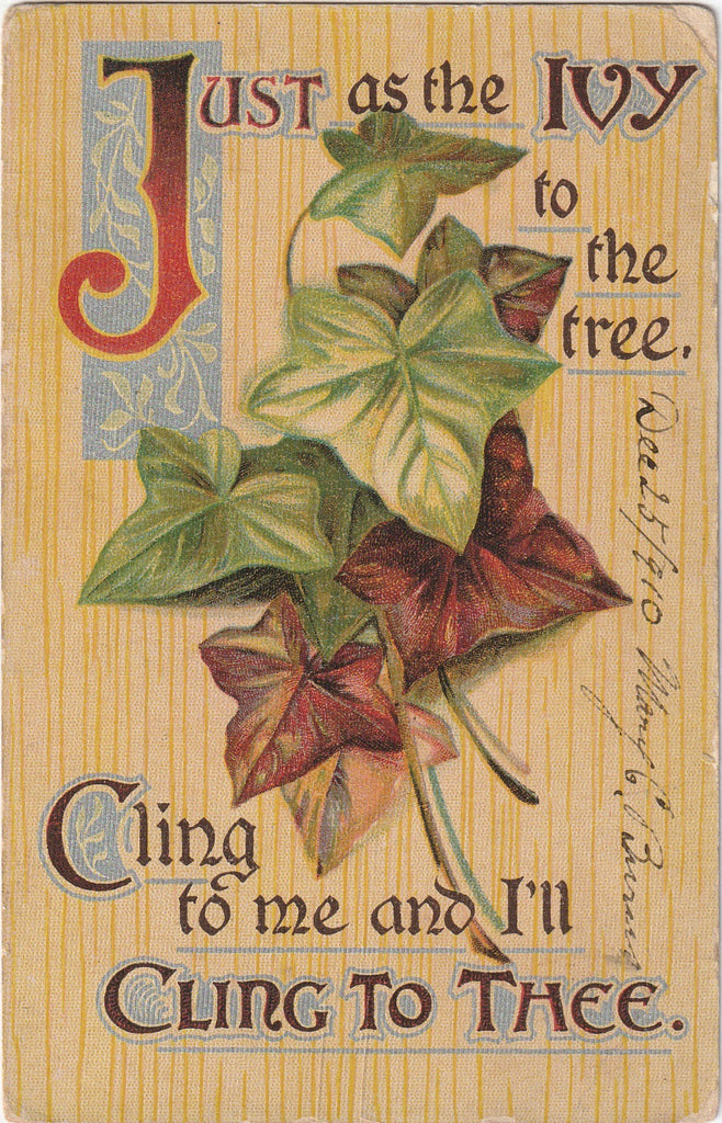 Just As Ivy To The Tree Antique Postcard 