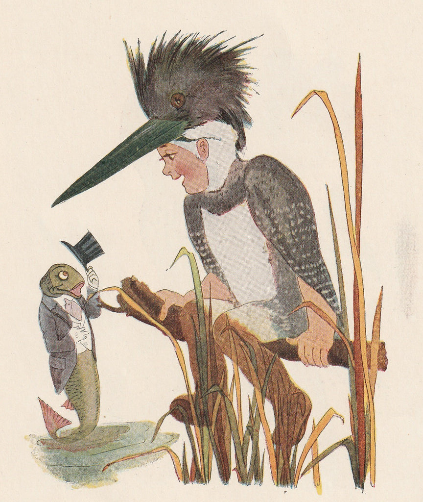 Kingfisher - Bird Children Book Page- Elizabeth Gordon - M. T. Ross- Print, c. 1912 Close Up