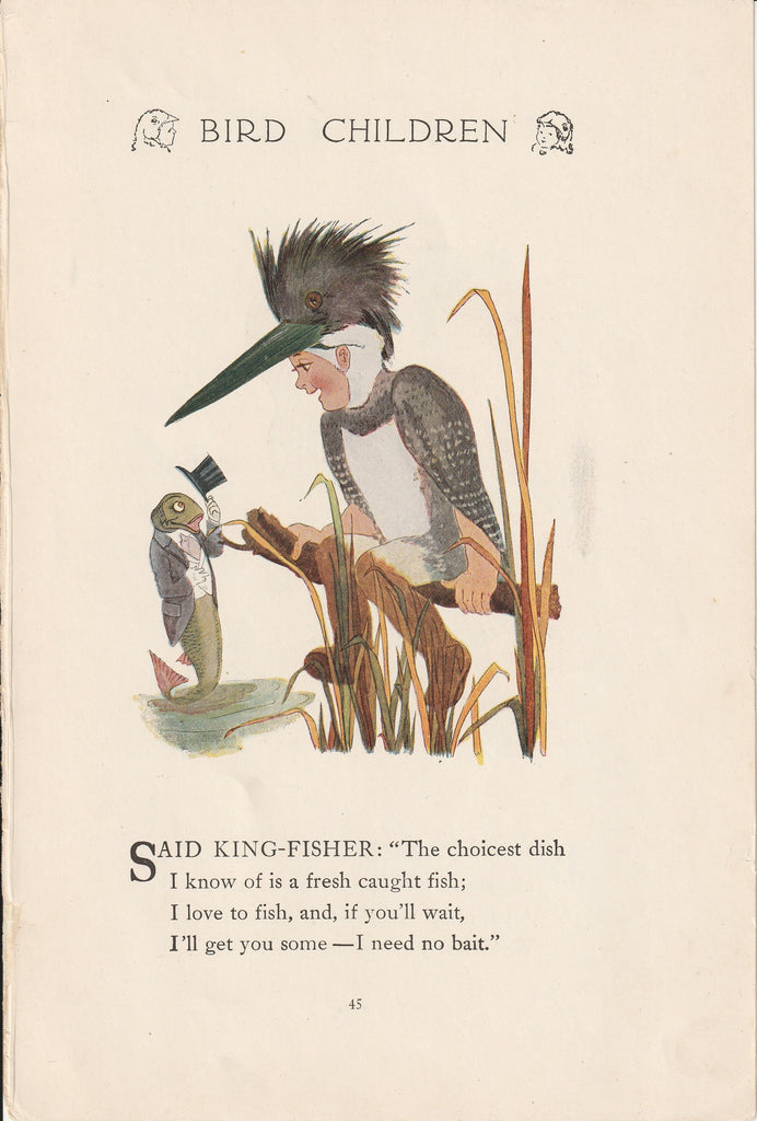 Kingfisher - Bird Children Book Page- Elizabeth Gordon - M. T. Ross- Print, c. 1912