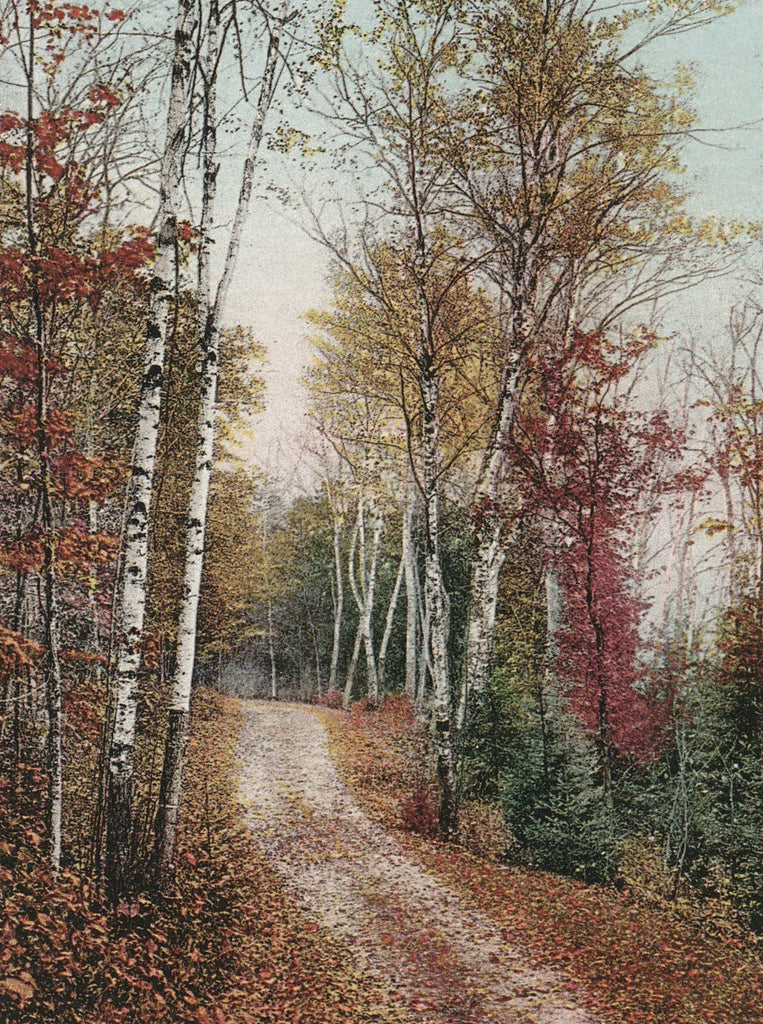 Leslie Avenue - Detroit, MI - Postcard, c. 1910s