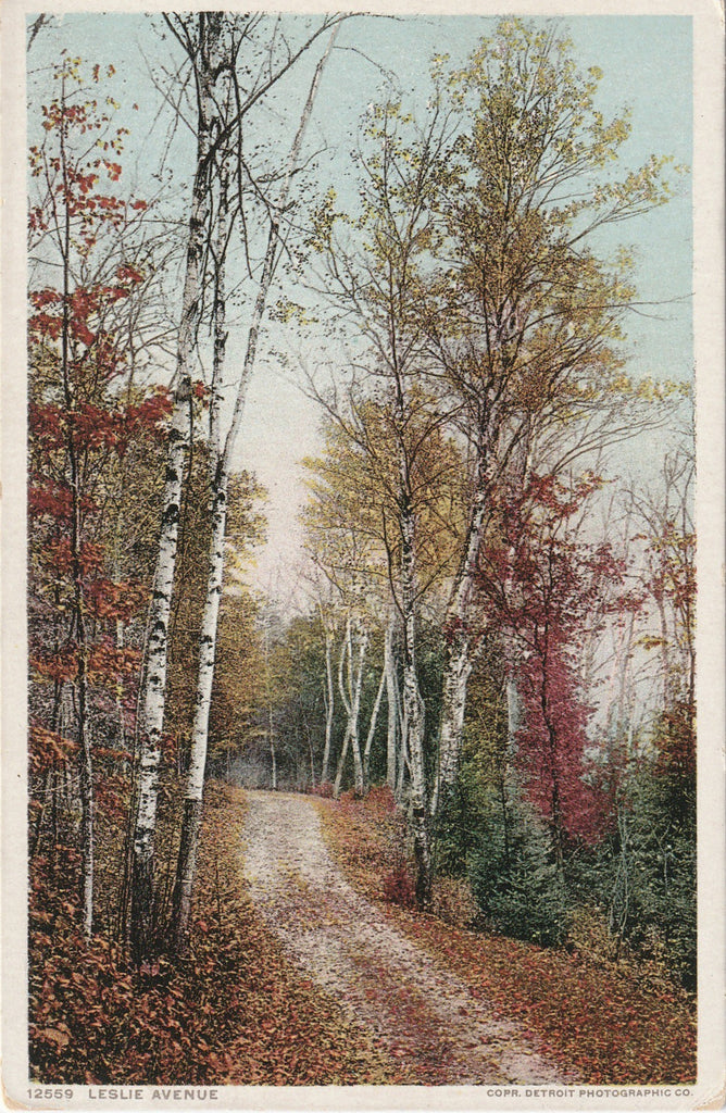 Leslie Avenue Detroit Michigan Postcard