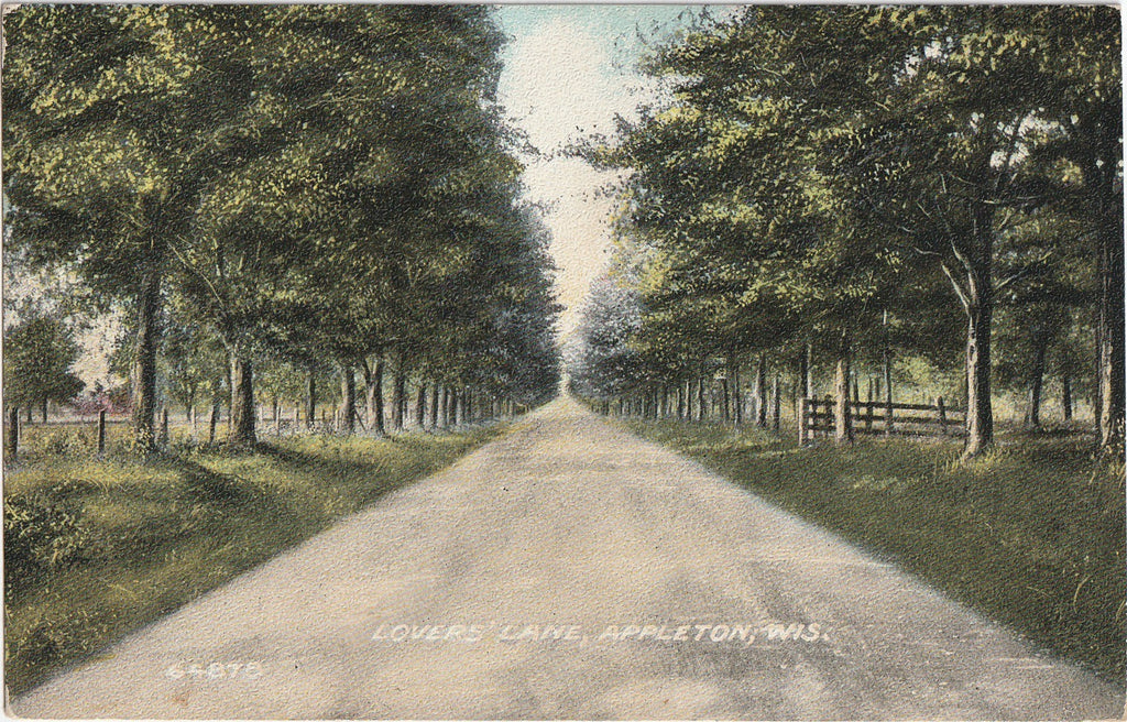 Lover's Lane Appleton Wisconsin Postcard