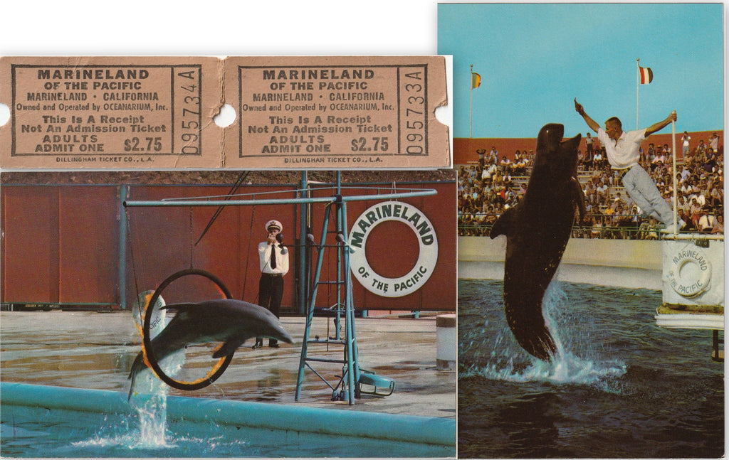 Marineland of the Pacific - Lod Angeles, CA - SET of 2 Postcards and Tickets, c. 1950s