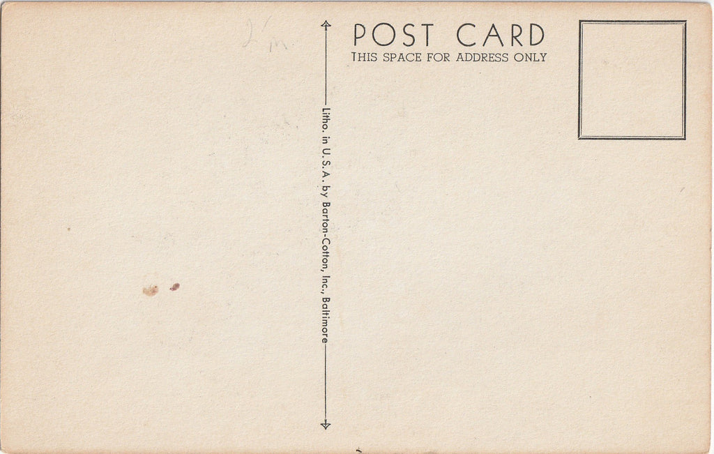 Marsh Blue Violet - Kathleen Cassel - American Nature Association - Postcard, c. 1910s Back