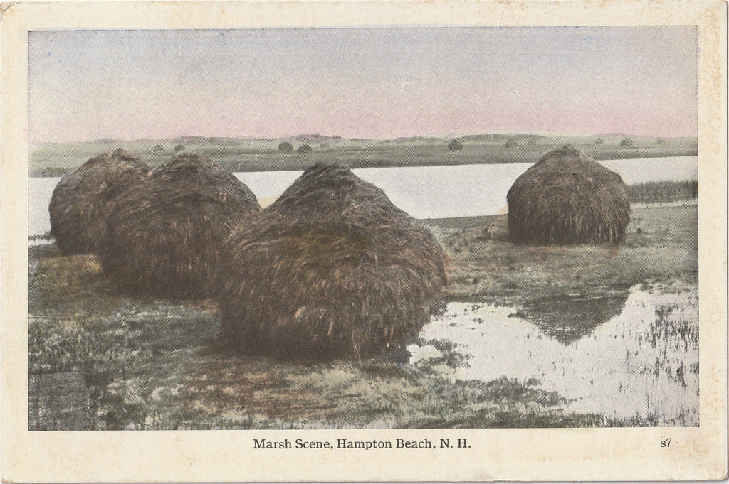 Marsh Scene Hampton Beach NH Antique Postcard