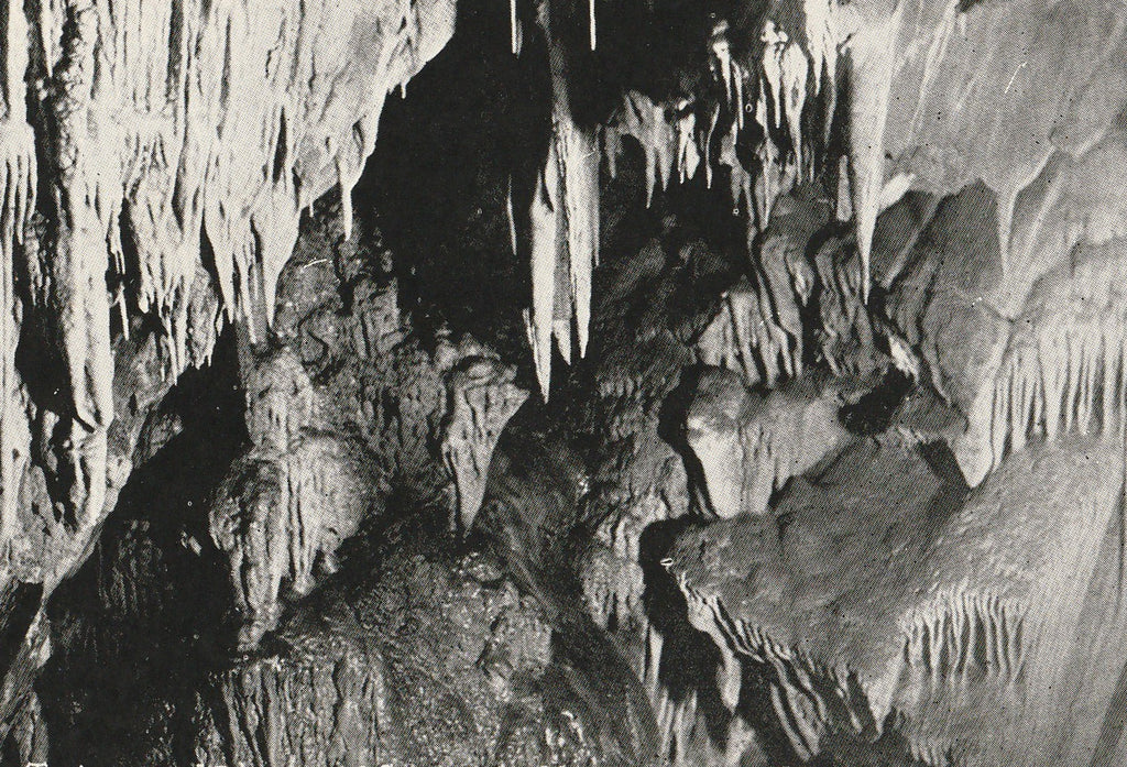 Mercer Cavern Murphy CA Cave Antique Postcard Close Up