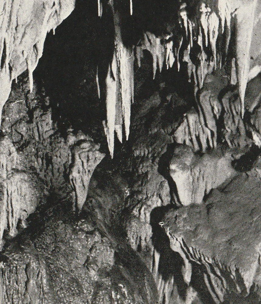 Mercer Cavern Murphy CA Cave Antique Postcard Close Up 2