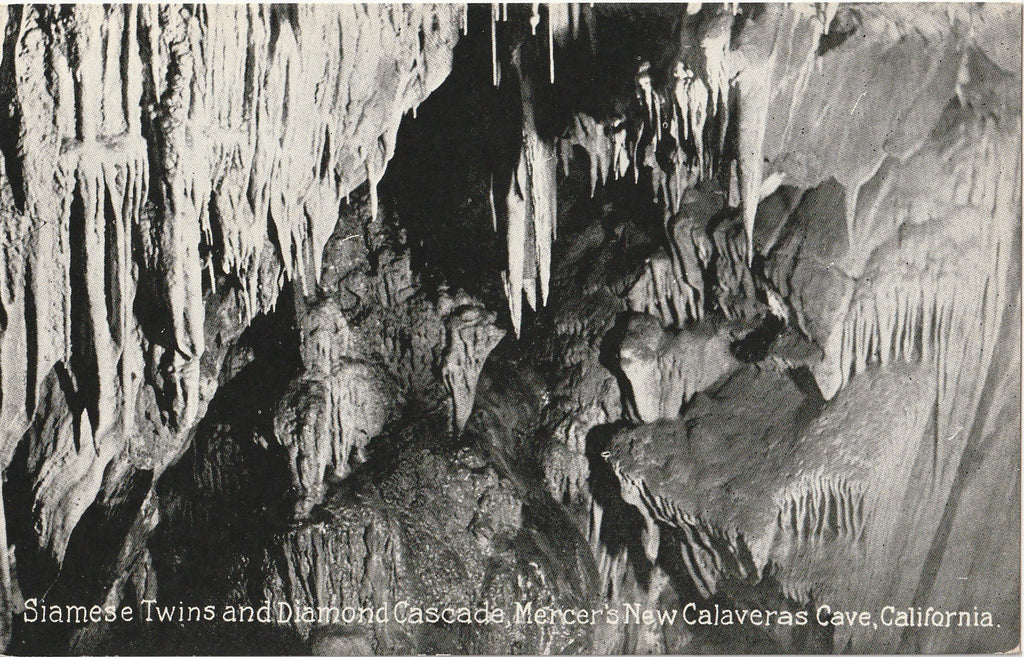 Mercer Cavern Murphy CA Cave Antique Postcard