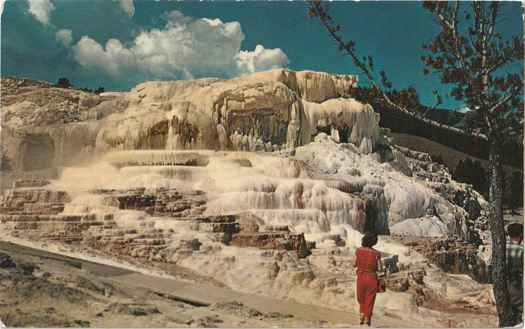 Minerva Terrace at Mammoth - Yellowstone National Park - Plastichrome Postcard, c. 1950s