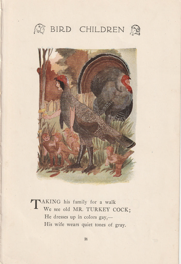 Mr. Turkey Cock - Bird Children Book Page- Elizabeth Gordon - M. T. Ross- Print, c. 1912