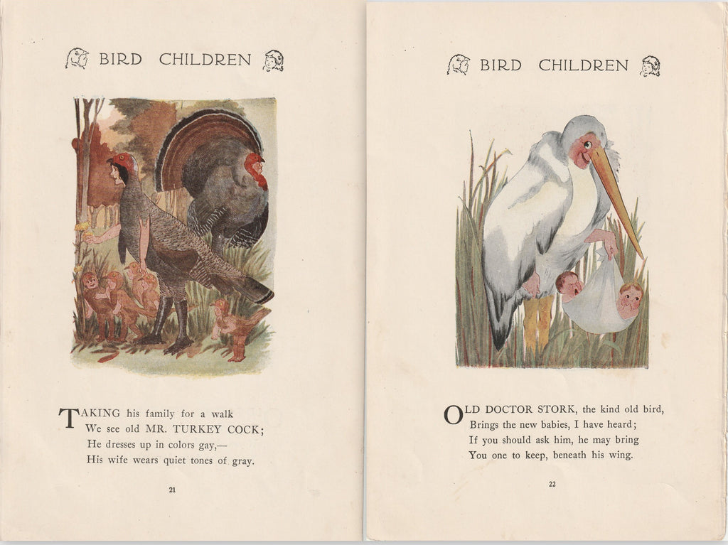 Mr. Turkey Cock / Old Doctor Stork - Bird Children Book Page- Elizabeth Gordon - M. T. Ross- Print, c. 1912