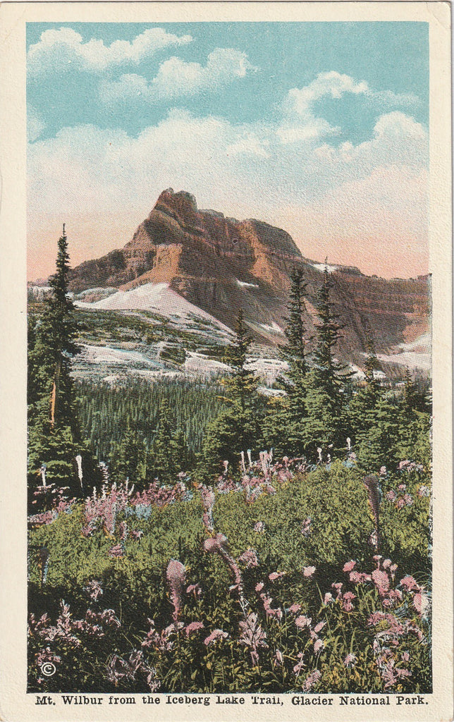 Mt. Wilbur from Iceburg Lake Trail Glacier National Park Postcard
