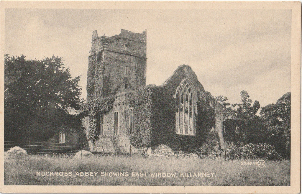 Muckross Abbey, Showing East Window - Killarney, Ireland - Postcard, c. 1910s
