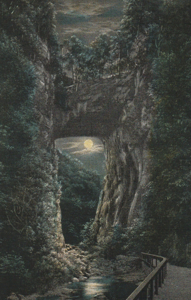 Natural Bridge By Moonlight Virginia Vintage Postcard Close Up
