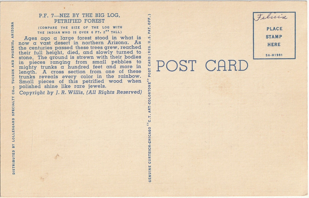 Nez By the Big Log - Petrified Forest, Arizona - J. R. Willis - Postcard, c. 1940s Back