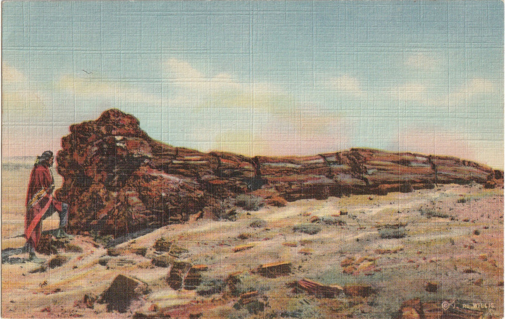 Nez By the Big Log - Petrified Forest, Arizona - J. R. Willis - Postcard, c. 1940s