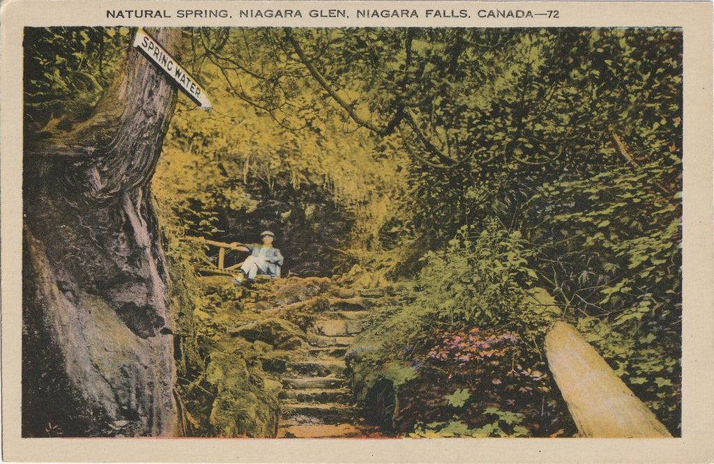  Niagra Glen Niagara Falls Canada Postcard 2