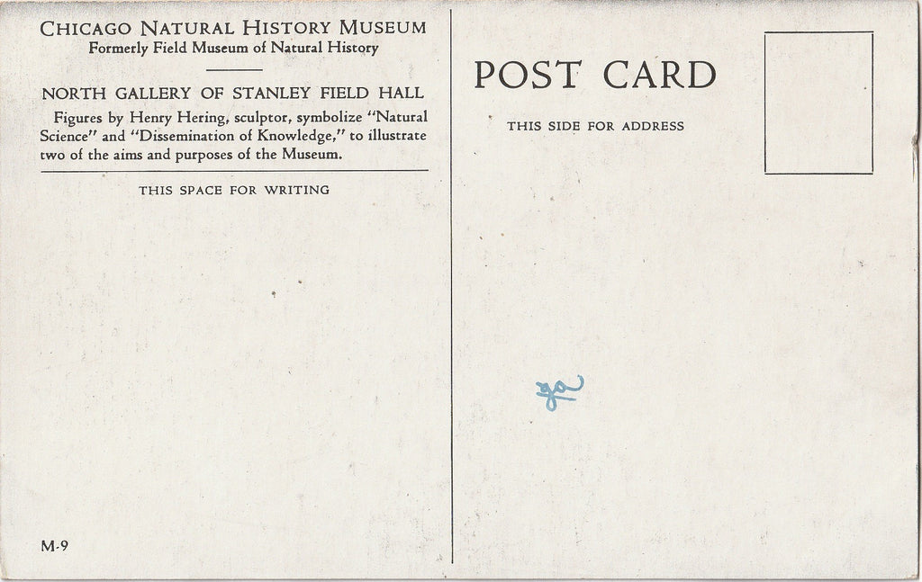 North Gallery Stanley Field Hall Chicago Natural History Museum Postcard Back