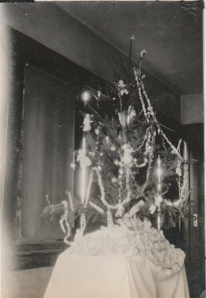 Oh Christmas Tree Vintage Snapshot 2