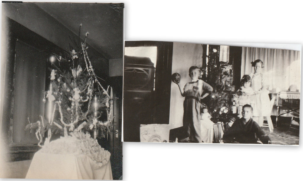 Oh Christmas Tree Vintage Snapshots 