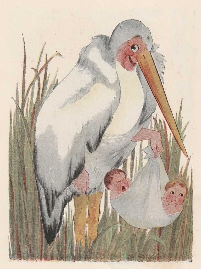 Old Doctor Stork - Bird Children Book Page- Elizabeth Gordon - M. T. Ross- Print, c. 1912 Close Up