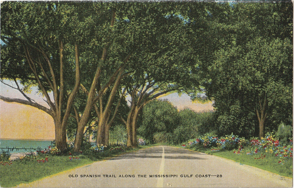 Old Spanish Trail Along the Mississippi Gulf Coast Postcard
