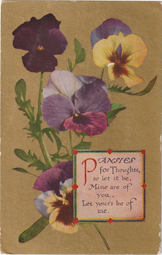 Pansies for Thoughts Postcard