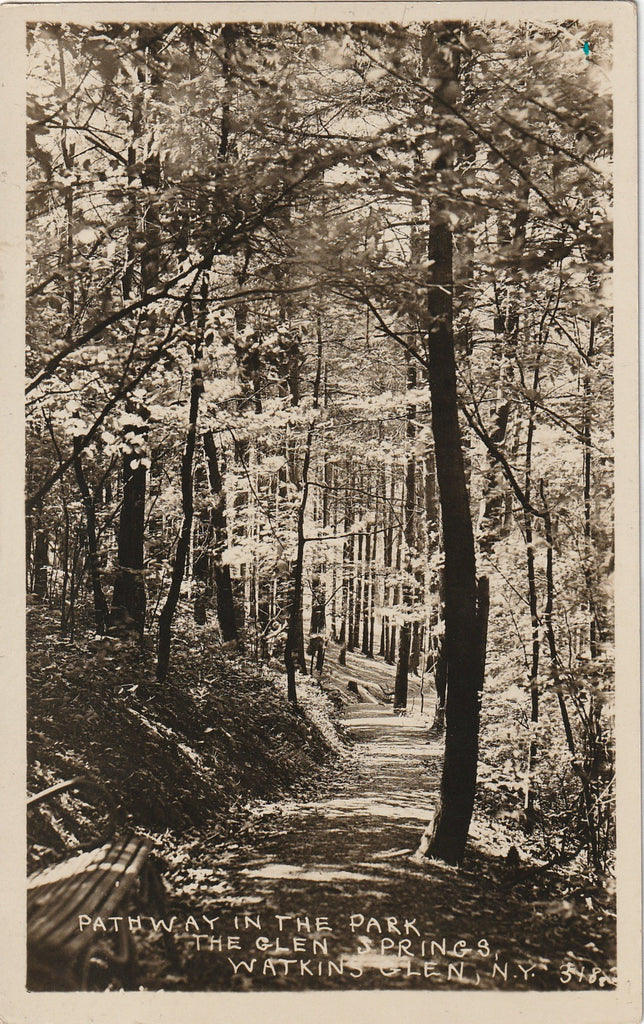 Pathway in the Park - The Glen Springs, Watkins Glen, NY - RPPC, c. 1910s