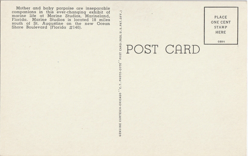 Porpoise Marine Studios Marineland Florida Vintage Postcard Back