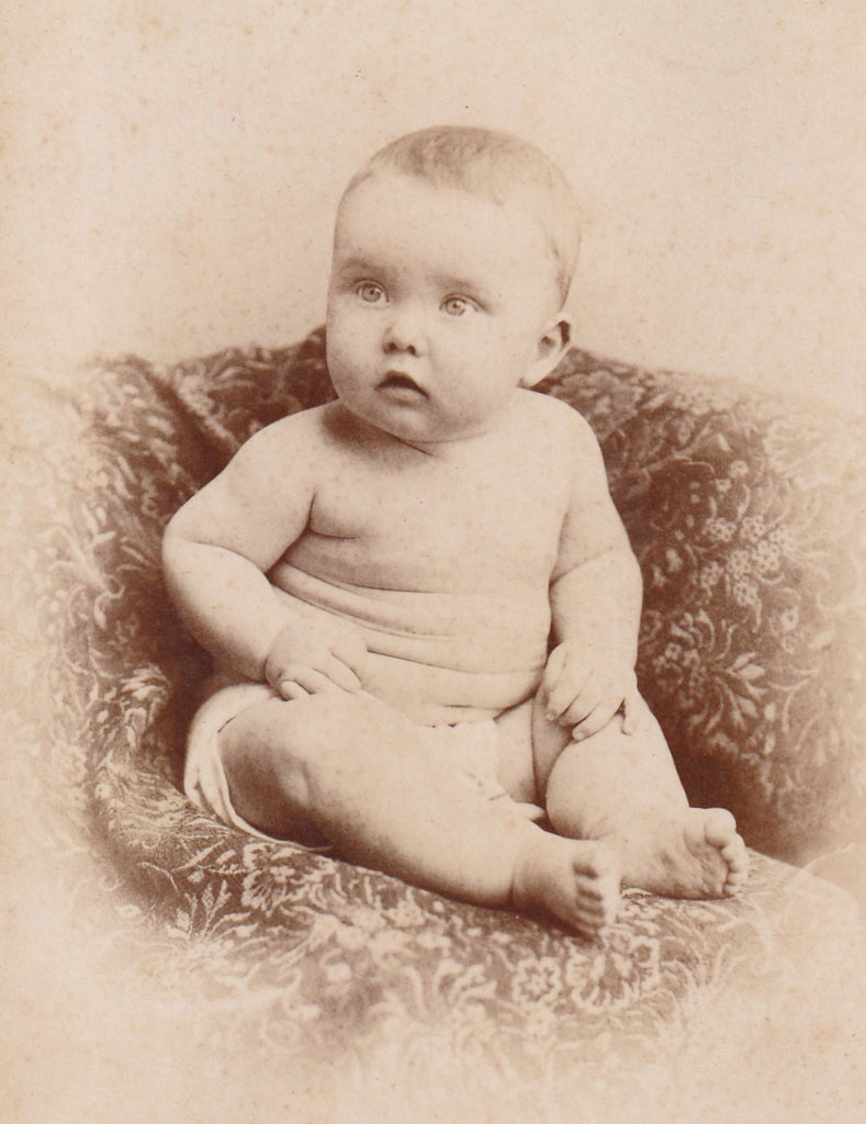 Pudgy Baby Elyria OH Cabinet Photo Close Up