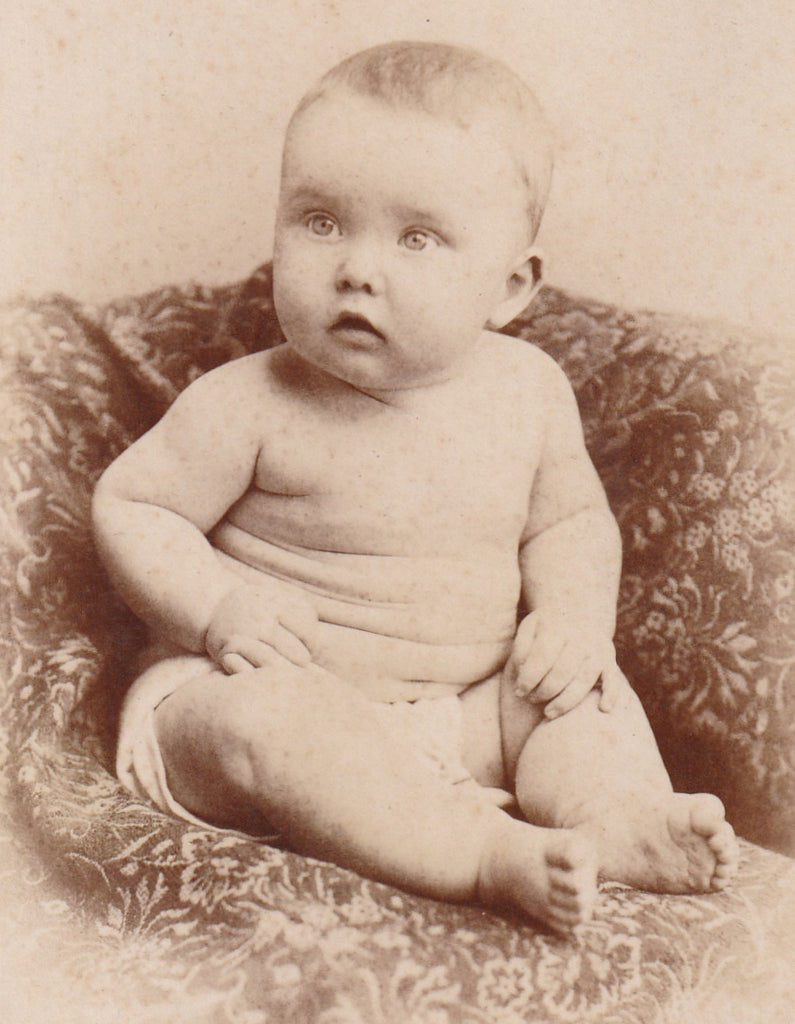 Pudgy Baby Elyria OH Cabinet Photo Close Up 2