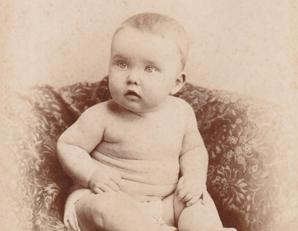 Pudgy Baby Elyria OH Cabinet Photo Close Up 3