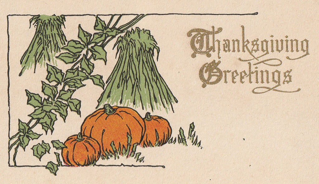 Thanksgiving Pumpkin Patch Postcard Close Up
