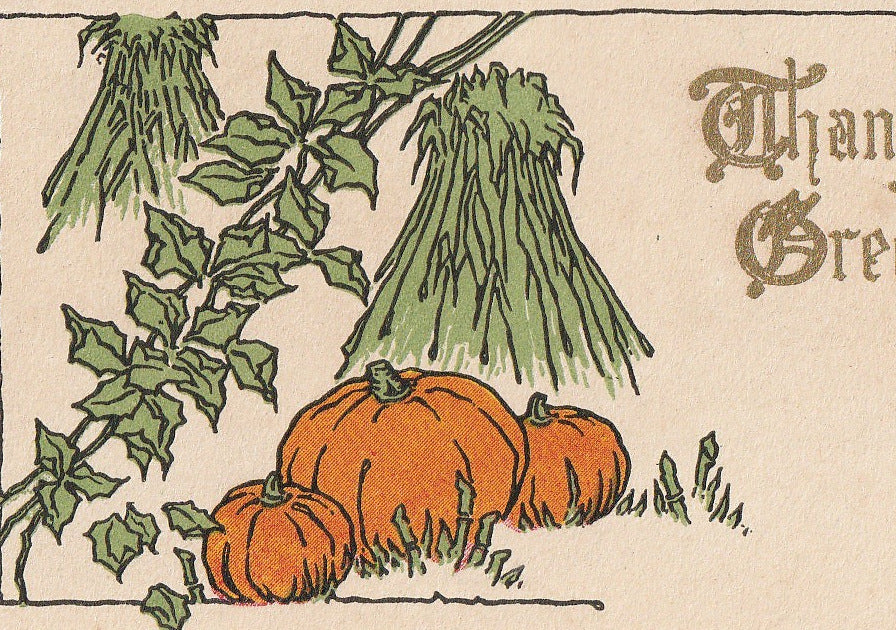 Thanksgiving Pumpkin Patch Postcard Close Up 2