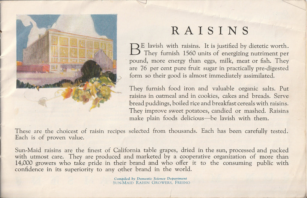 Recipes with Raisins - Sun-Maid Raisin Growers Domestic Science Dept. - Booklet, c. 1920s 