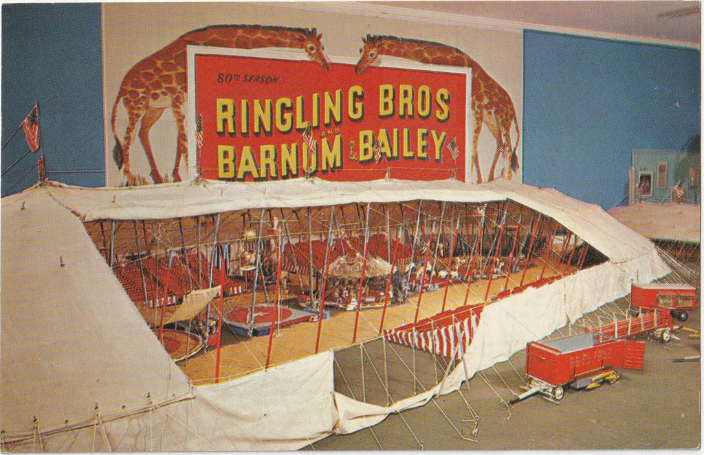 Ringling Museum of the Circus Sarasota Florida Postcard
