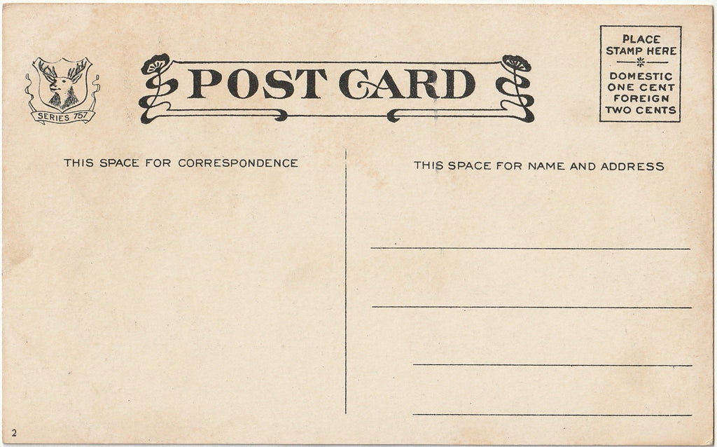 Rustic Foot Bridge - Postcard, c. 1900s Back