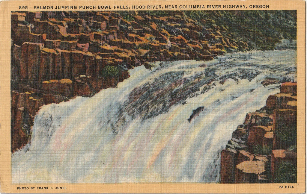 Salmon Jumping Punch Bowl Falls - Hood River - Columbia River Highway, OR - Postcard, c. 1930s