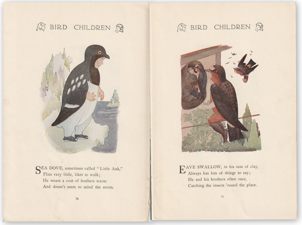 Sea Dove / Eave Swallow - Bird Children Book Page- Elizabeth Gordon - M. T. Ross- Print, c. 1912