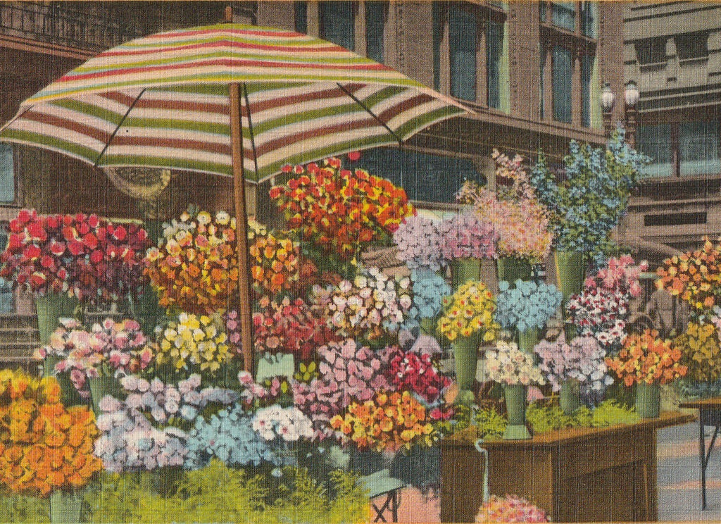 Sidewalk Flower Stands San Francisco Vintage Postcard Close Up