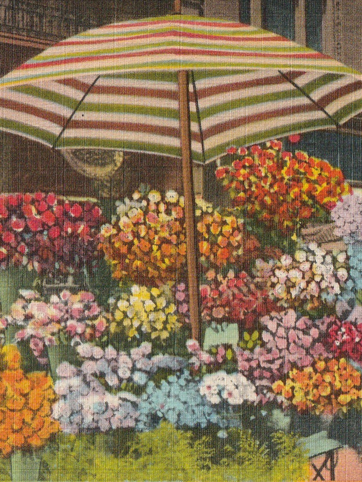 Sidewalk Flower Stands San Francisco Vintage Postcard Close Up 2