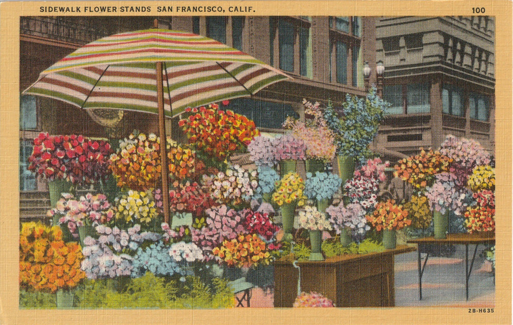 Sidewalk Flower Stands San Francisco Vintage Postcard