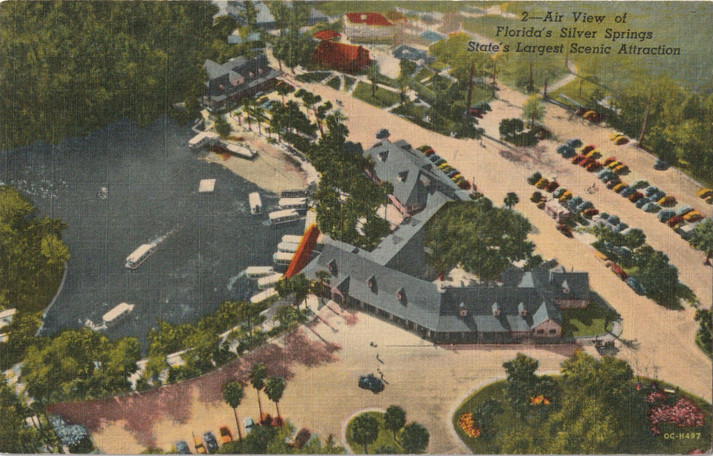 Aerial View of Silver Springs Florida Vintage Postcard